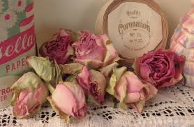 Dry roses 2
